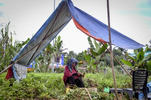 BERKEBUN_KACANG