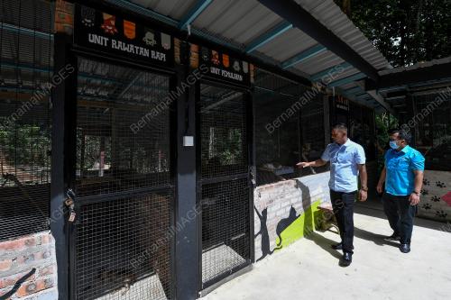 TAMAN KUCING DUNGUN