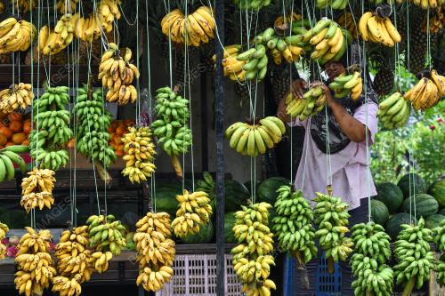 PENIAGA PISANG