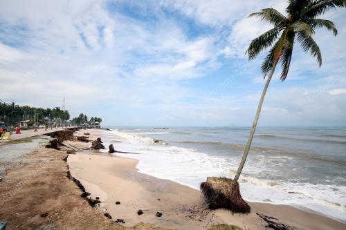 HAKISAN PANTAI