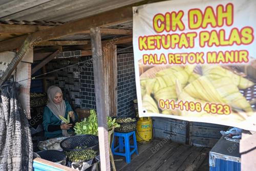 KETUPAT PALAS
