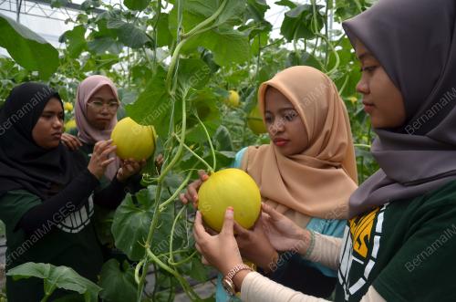 TR15_12082018_TKPM_PERADONG