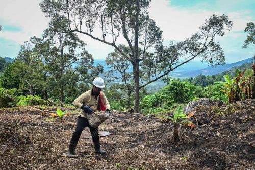 MUSIM DURIAN