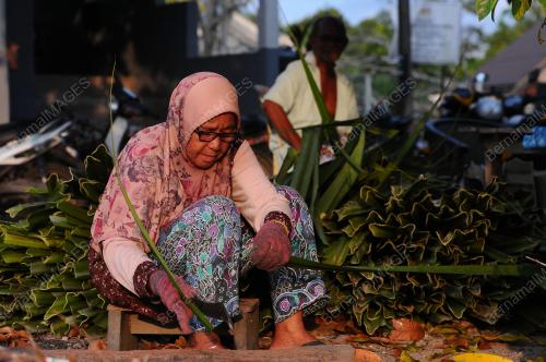 ANYAMAN TIKAR MENGKUANG