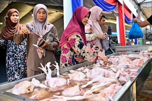 SENTUHAN KASIH DESA