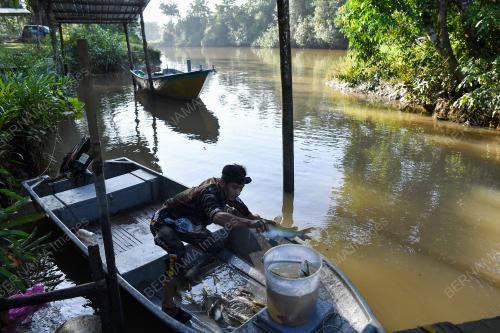 REZEKI DARI SUNGAI