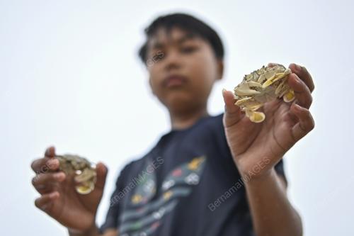TINJAUAN CUTI SEKOLAH