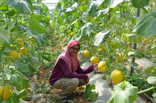 TR16_01042019_ABD_RAHMAN_MOHD_NOOR