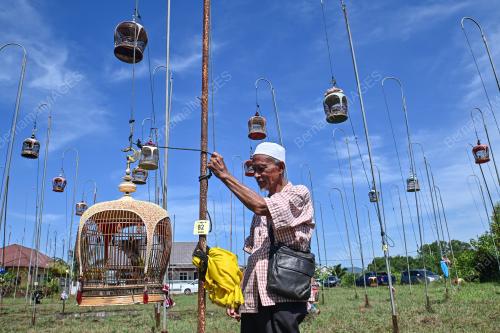 PERTANDINGAN SENI SUARA MERBUK
