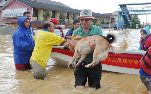 TR16_25122014_BANJIR