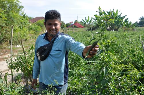 TR17_01042019_ABD_RAHMAN_MOHD_NOOR