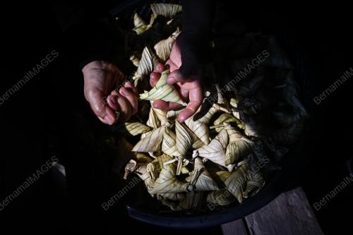 KETUPAT PALAS