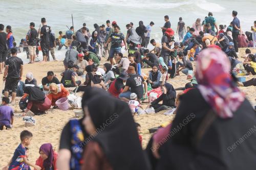 KERANG TERDAMPAR DI PANTAI