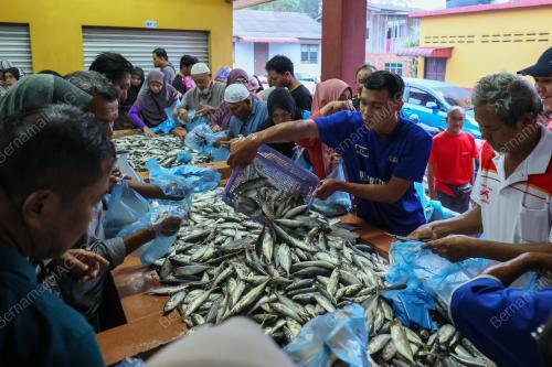 IKAN SELAYANG 20 SEN