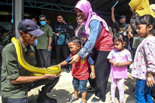 RIMBA RAZIA