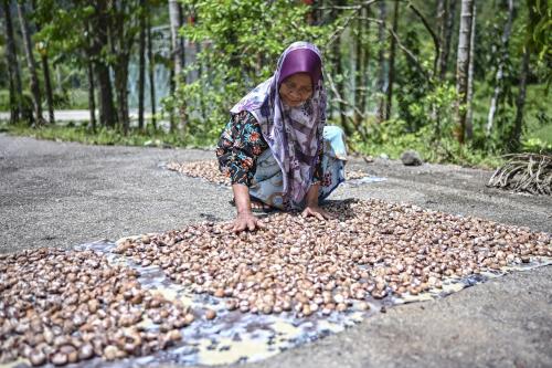 BUAH PINANG