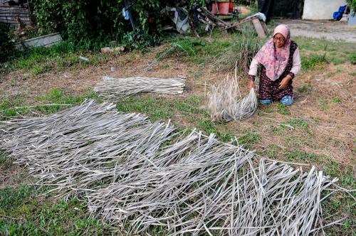 ANYAMAN TIKAR MENGKUANG