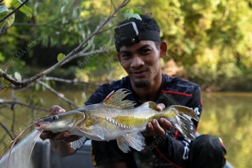 REZEKI DARI SUNGAI