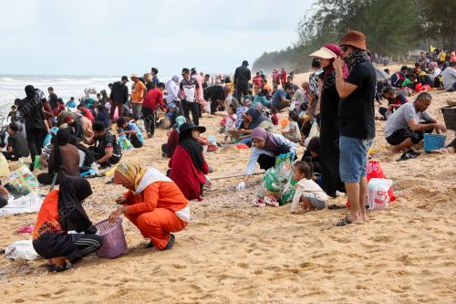 KERANG TERDAMPAR DI PANTAI