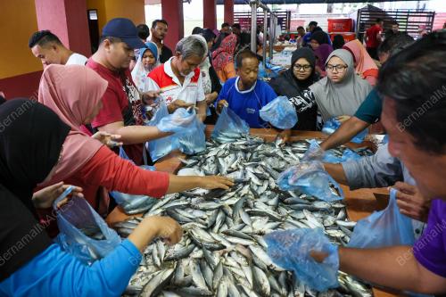 IKAN SELAYANG 20 SEN