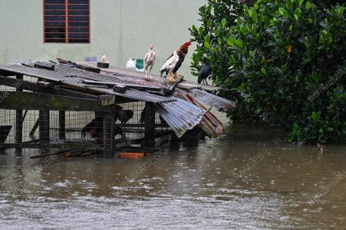 BANJIR TERENGGANU