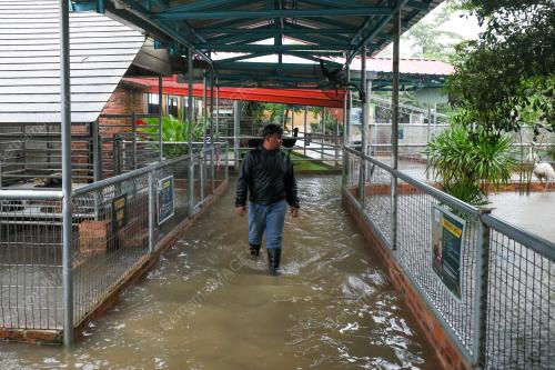ZOO BANJIR
