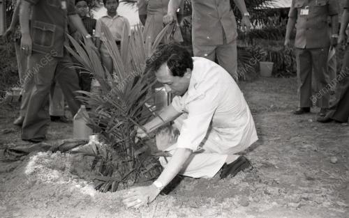 RAIS YATIM