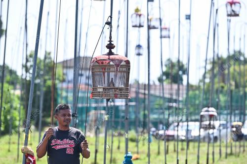 PERTANDINGAN SENI SUARA MERBUK