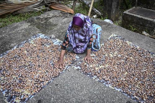 BUAH PINANG