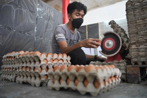 TELUR AYAM