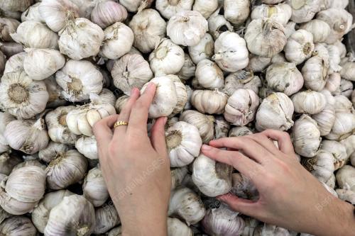 SKIM HARGA MAKSIMUM MUSIM PERAYAAN