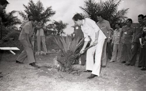 RAIS YATIM