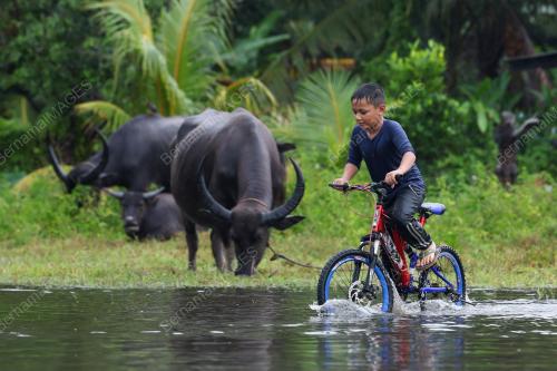 BANJIR TERENGGANU