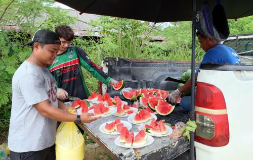 TIMUN CINA PERCUMA