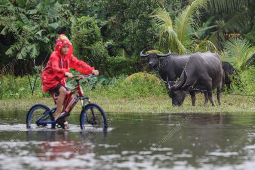BANJIR TERENGGANU