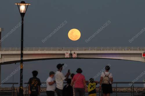 BULAN PURNAMA
