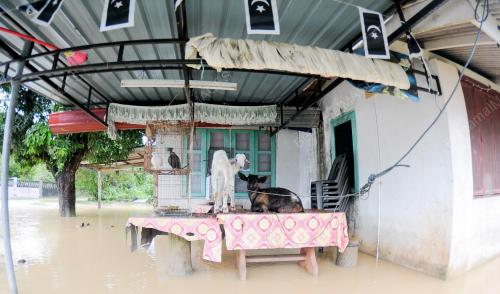 TR23_04012017_BANJIR_SETIU