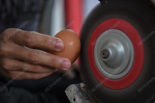 TELUR AYAM