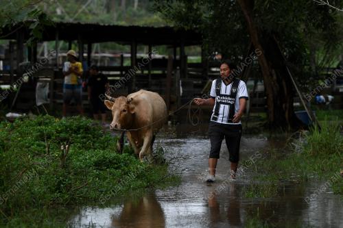 BANJIR TERENGGANU
