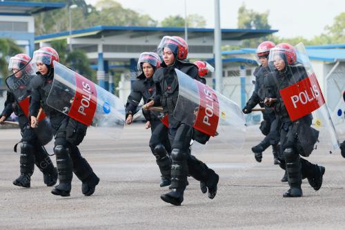 PASUKAN SIMPANAN PERSEKUTUAN