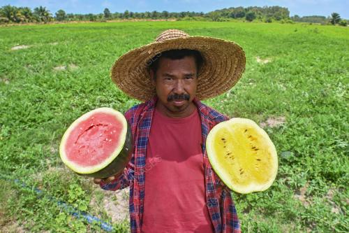 REZEKI PETANI MUSIM RAMADAN