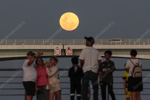 BULAN PURNAMA