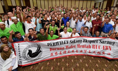TR23_24032018_SHABERY_BN201803232825