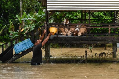 BANJIR PERMAISURI