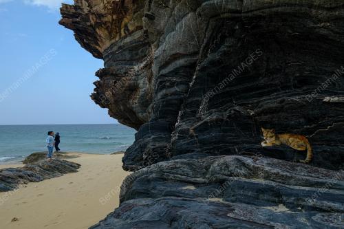PEMANDANGAN BATU PELANDUK