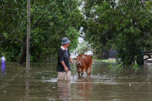 BANJIR TERENGGANU