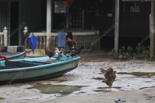 BANJIR TERENGGANU