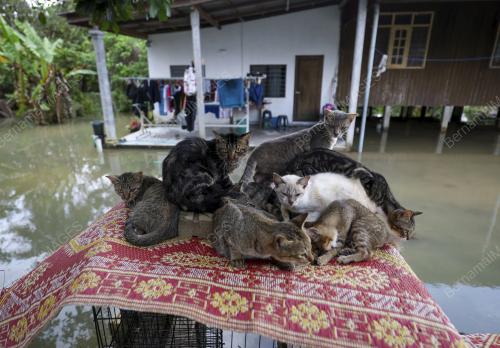 BANJIR TERENGGANU