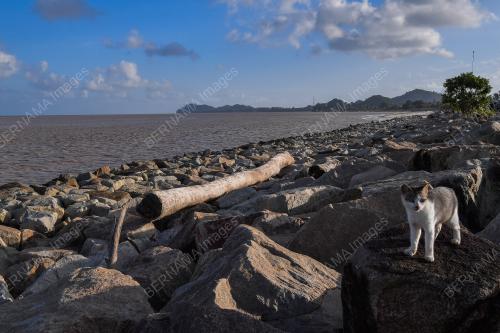 KEADAAN LAUT DI PESISIR PANTAI KEMAMAN TENANG & TIDAK BERGELORA