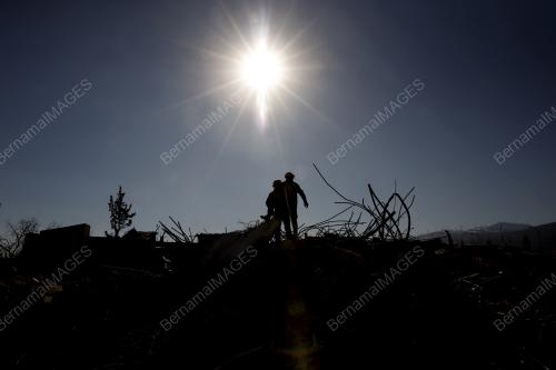 SAR_MAS-01
